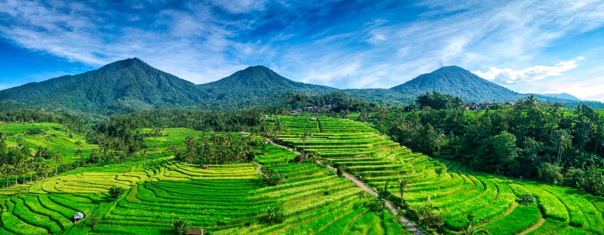 Panorámica de terrazas de arroz verdes en Jatiluwih, Bali, escalonadas sobre una ladera con montañas al fondo.