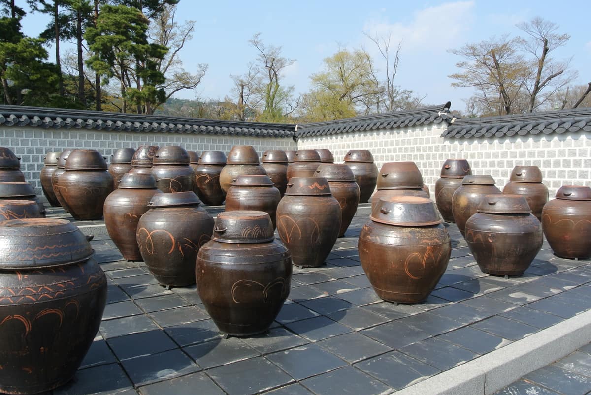 Filas de grandes vasijas de barro oscuro colocadas sobre una terraza pavimentada junto a un muro tradicional coreano.