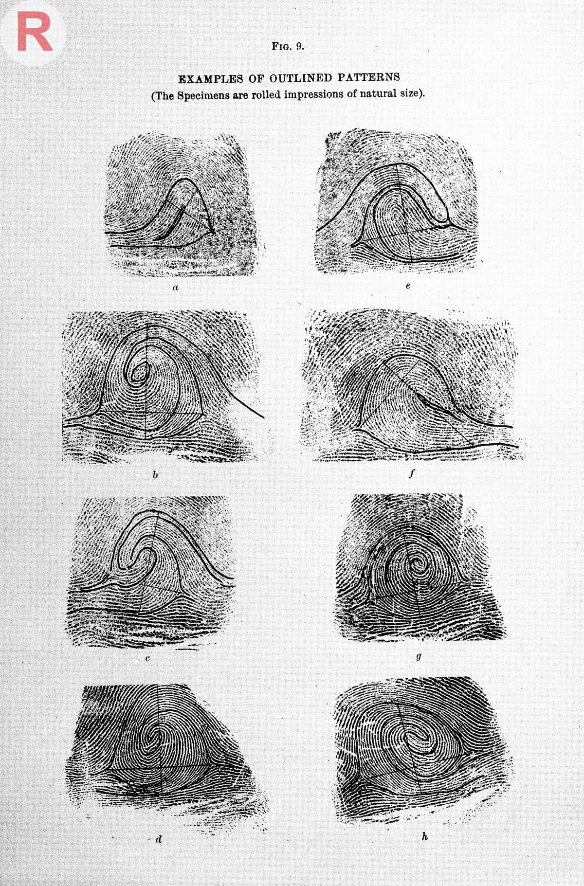Página histórica con varios dibujos negros de huellas dactilares clasificados en grupos y numerados.