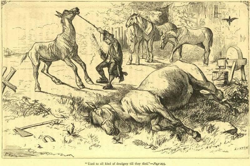 Gulliver conversando con un Houyhnhnm en una ilustración histórica del capítulo IV.