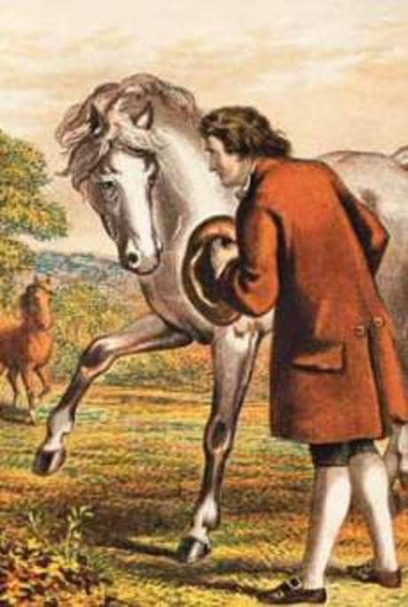 Houyhnhnms en una ilustración histórica del capítulo IX, dedicado a su asamblea general.