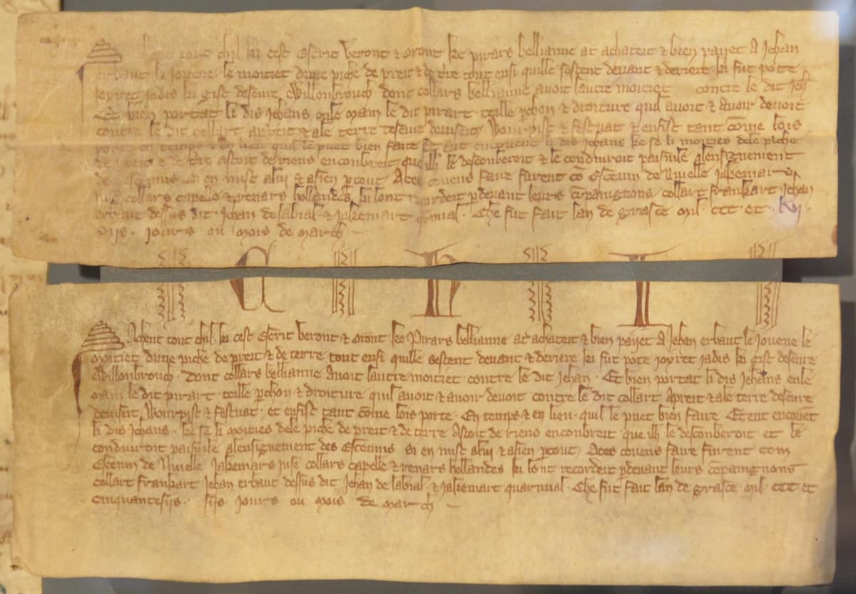 Dos fragmentos de un quirógrafo medieval de 1357 colocados juntos; sus bordes cortados y las letras divididas permiten comprobar que pertenecían al mismo documento.