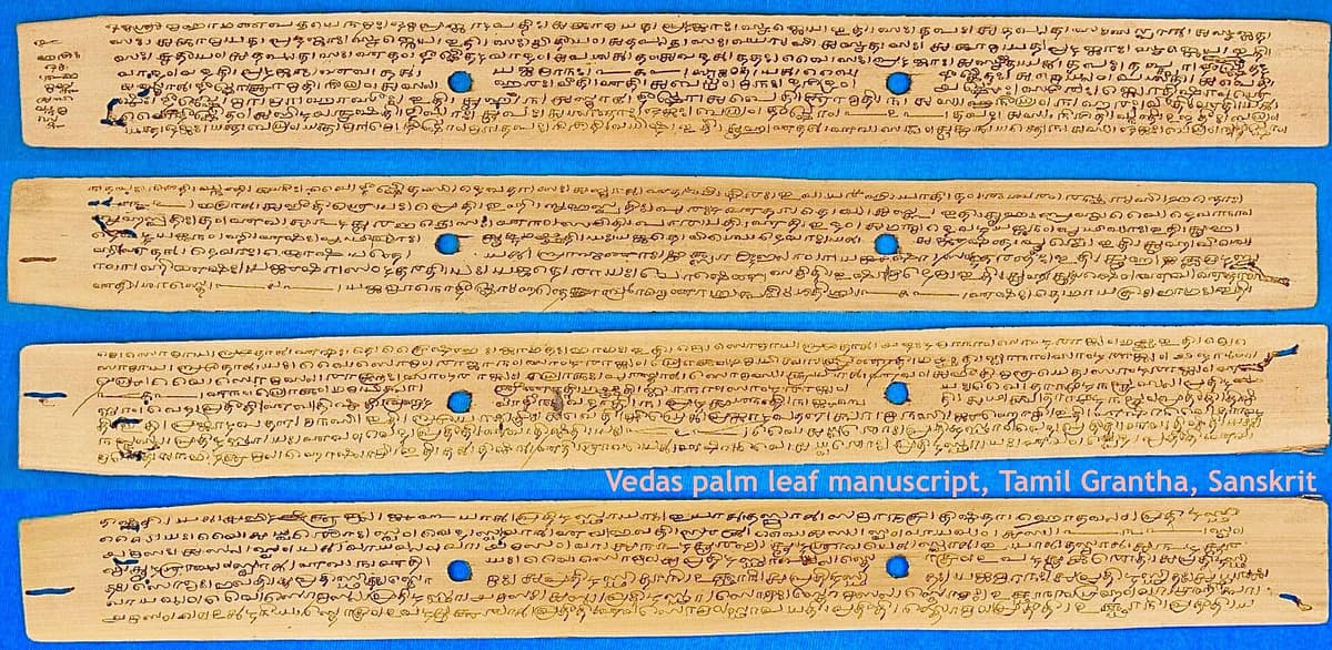 Varias hojas alargadas de palma con líneas de escritura grantha oscura y orificios para atarlas.