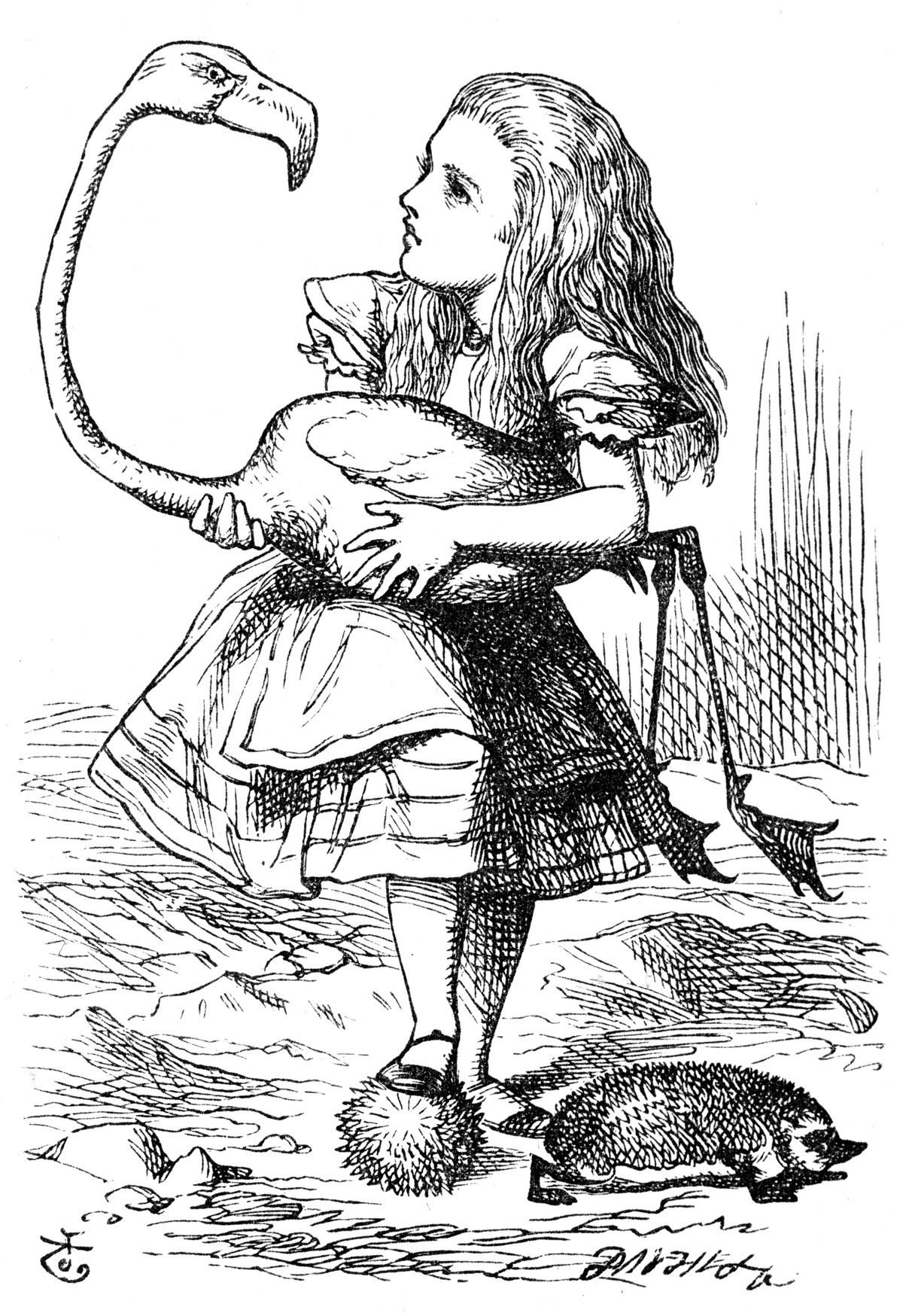 Ilustración de John Tenniel con Alice sujetando un flamenco como mazo durante el juego de croquet.