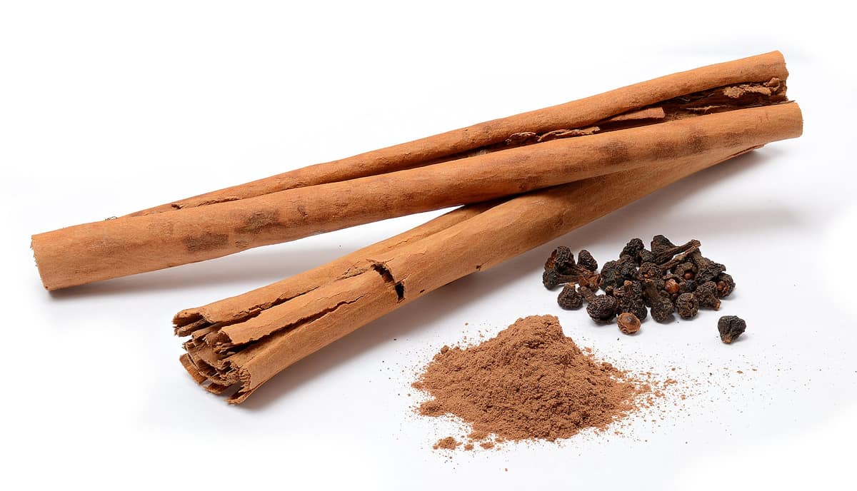 Ramas enrolladas de canela de Ceilán, canela en polvo y flores de Cinnamomum verum sobre fondo claro.